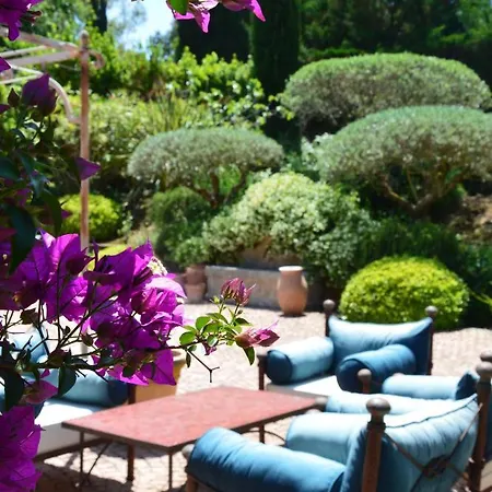 Villa Zenia By The Pearls Collection